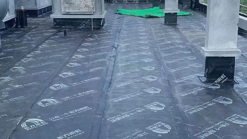 室内防水涂料选购，如何避免陷入误区？**