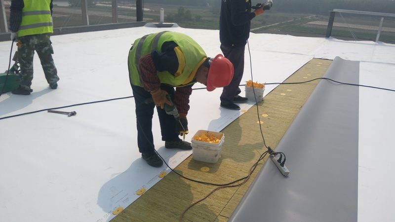 水性防水涂料与油性防水涂料，到底差在哪